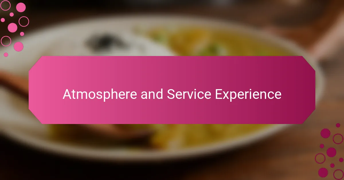 Atmosphere and Service Experience