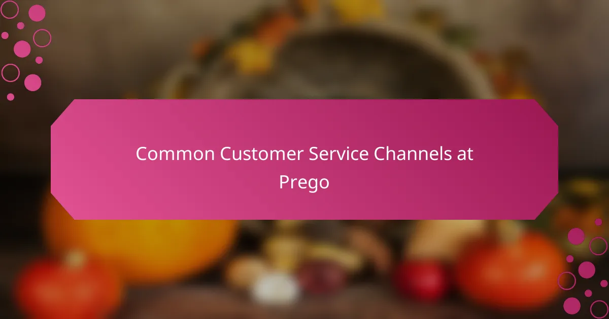 Common Customer Service Channels at Prego