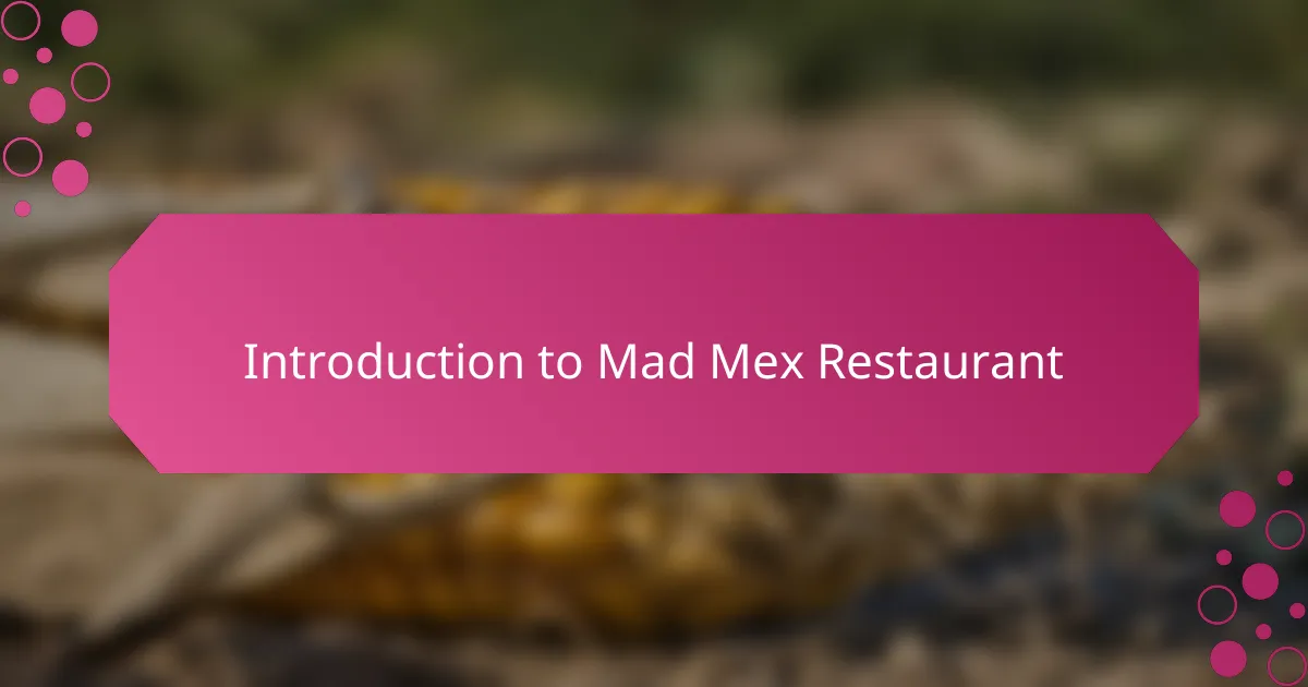 Introduction to Mad Mex Restaurant