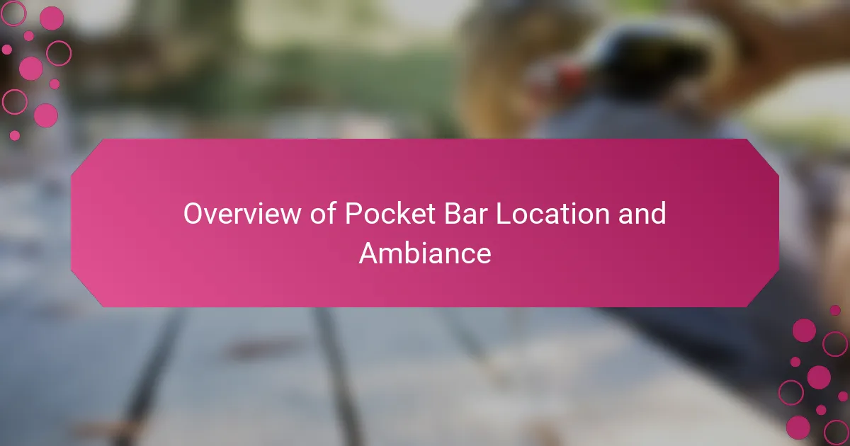 Overview of Pocket Bar Location and Ambiance
